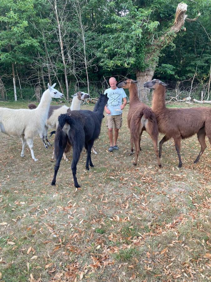 The Llama Farm France Saint-Cyr-Les-Champagnes Zewnętrze zdjęcie