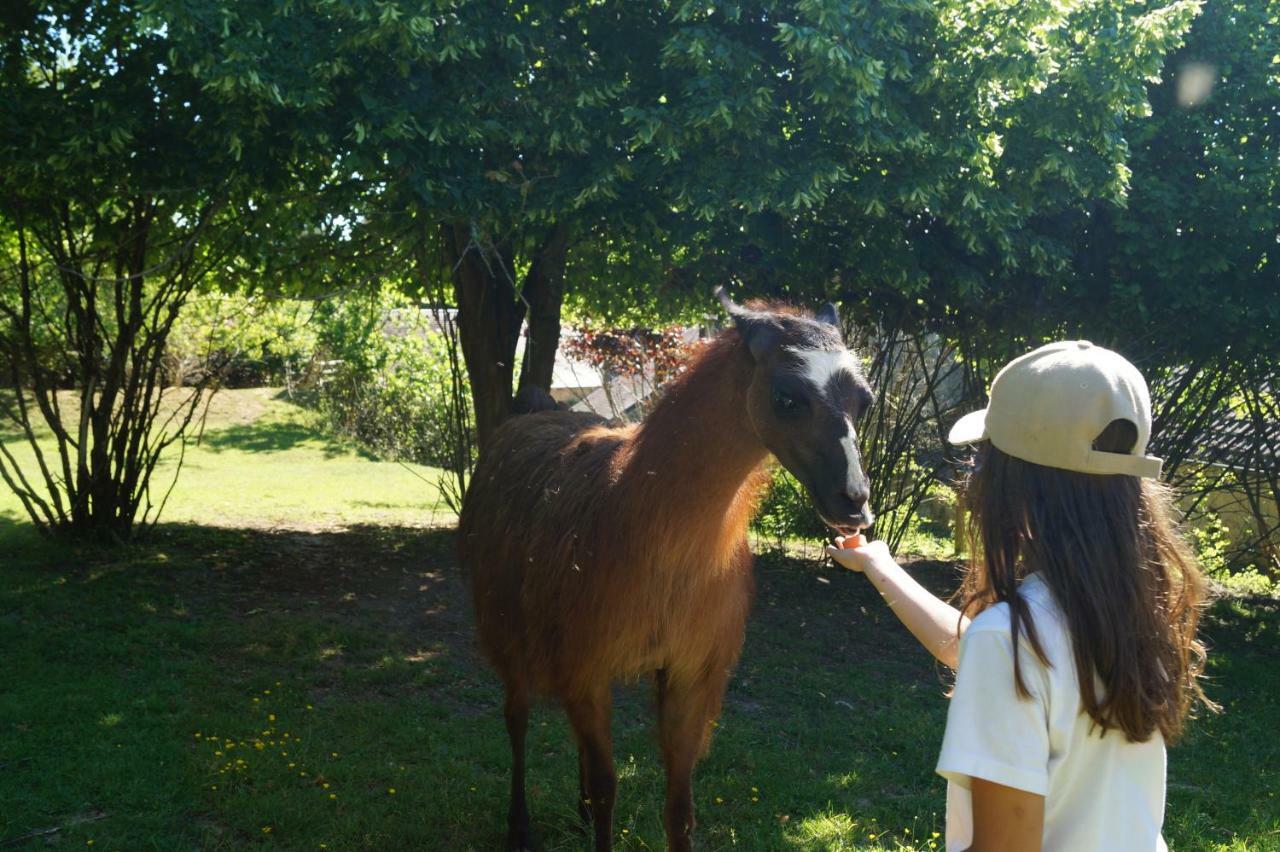 The Llama Farm France Saint-Cyr-Les-Champagnes Zewnętrze zdjęcie