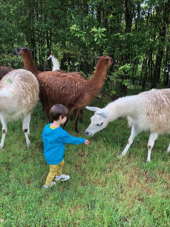 The Llama Farm France Saint-Cyr-Les-Champagnes Zewnętrze zdjęcie